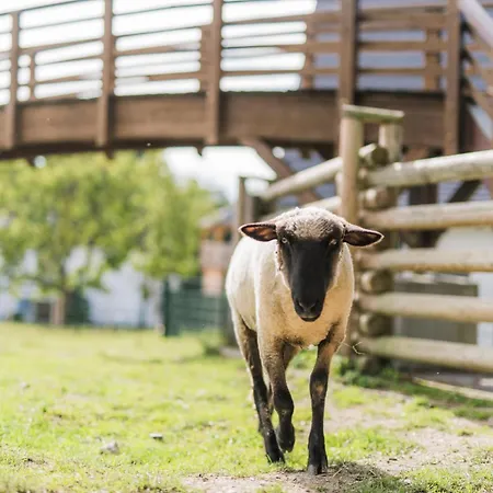 Hof Koehne - Landlust * Schmallenberg