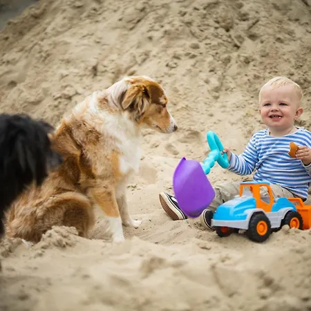 Vakantiehuis Hof Koehne - Landlust *