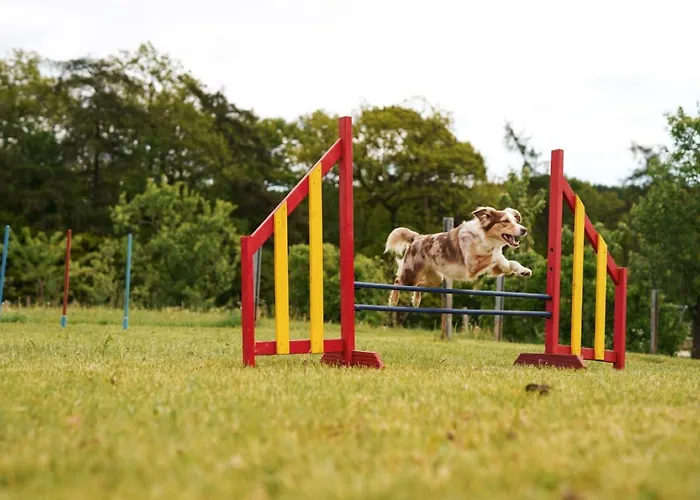 Semesterbostad Hof Koehne - Landlust