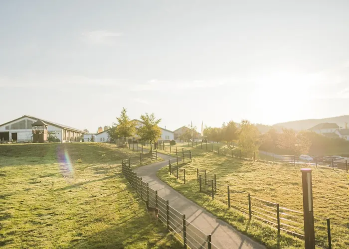 Semesterbostad Hof Koehne - Landlust Schmallenberg