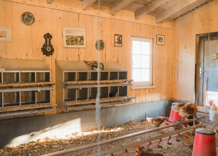 Semesterbostad Hof Koehne - Landlust Schmallenberg