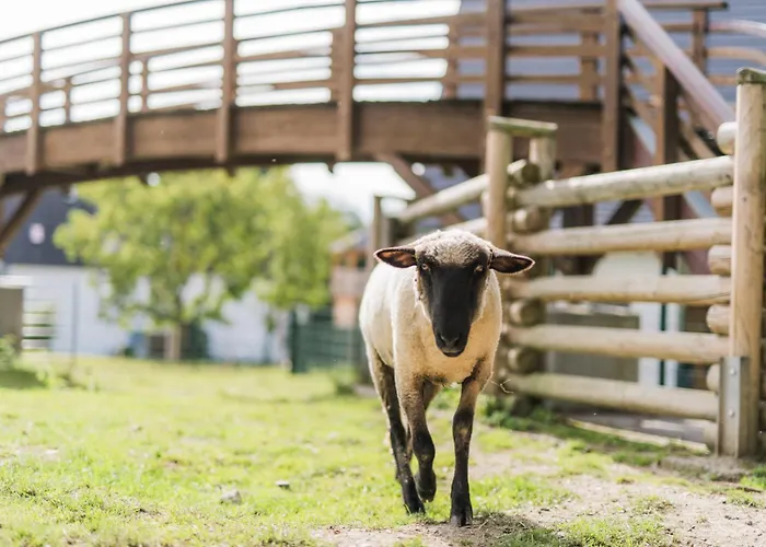 Hof Koehne - Landlust * Schmallenberg