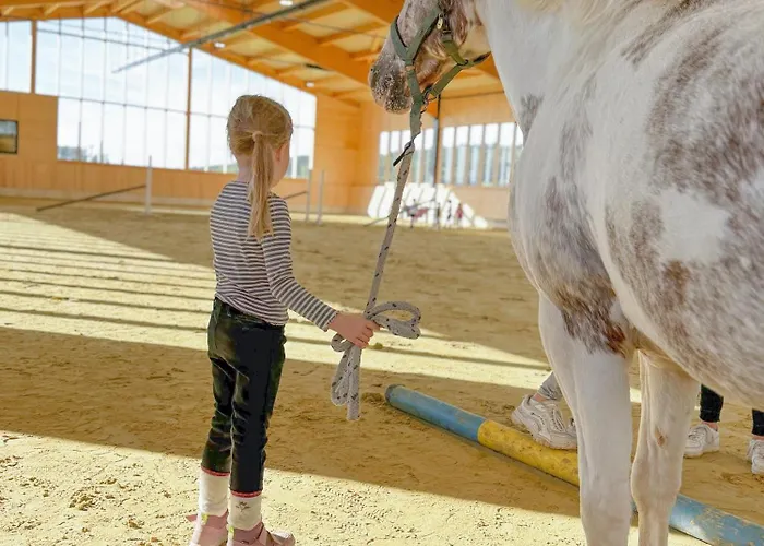 Semesterbostad Hof Koehne - Landlust Schmallenberg
